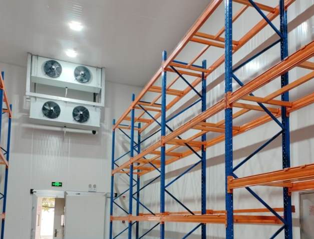 小型果蔬冷庫多少錢？從成本拆解到選擇策略的實用指南