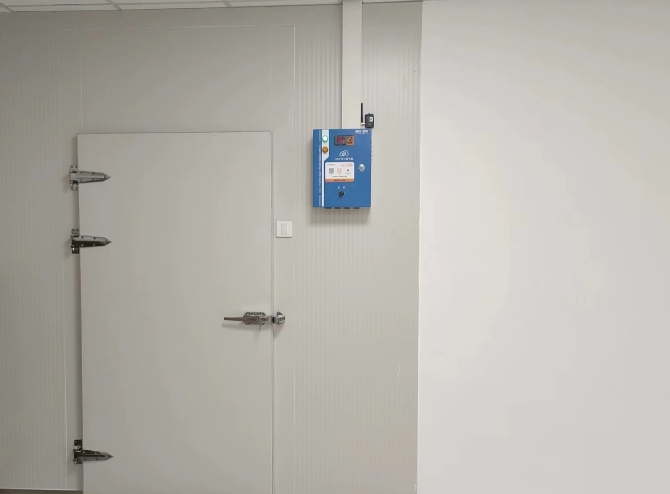 冷庫會長蛆嗎？揭秘冷庫衛生隱患與科學解決方案