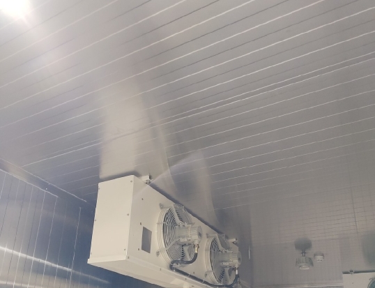 冷庫儲存板栗的好方法：從入庫到出庫的關鍵細節全解析