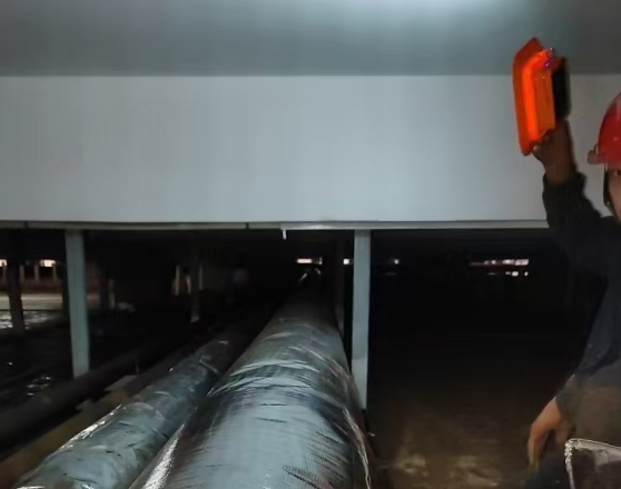 一百平方冷庫造價多少？看完這篇心里有底了！