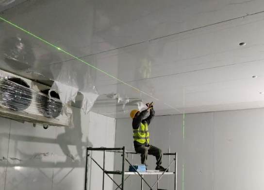 冷庫葡萄最低多少度？科學解析不同品種的適宜溫度范圍