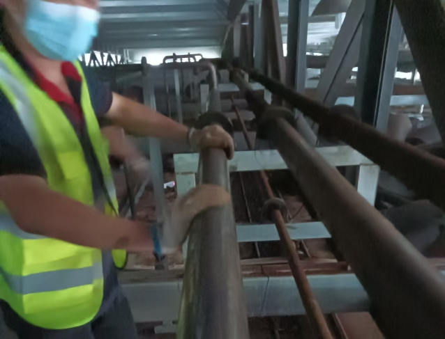 黃瓜放冷庫能存多久？科學存儲讓黃瓜保鮮期延長至14天