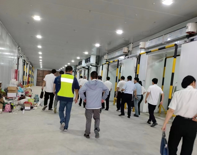 小型冷庫賺錢嗎？冷庫投資收益真相與實操指南