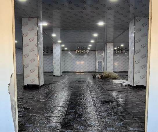 冷庫制冷機按什么配置？選型指南與實用策略詳解