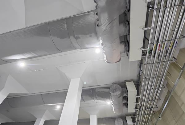 擺地攤賣水果要冷庫嗎？實測告訴你答案