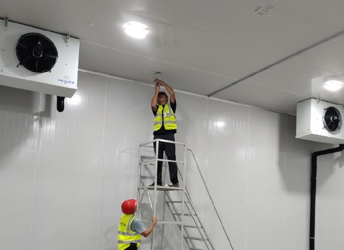 冷庫設計的要求是什么？從空間規劃到溫度控制的全面解析