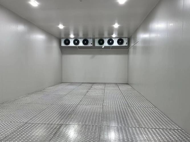 冷庫板多少錢1平方？市場行情與選購指南全解析