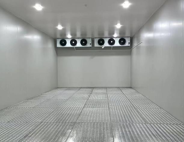 冷庫裝卸工還能干嗎？行業變遷下的生存智慧與新機會