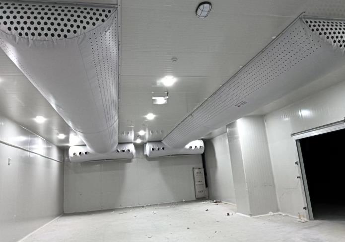 蒜米料冷庫能存多久？影響因素與優化策略深度解析